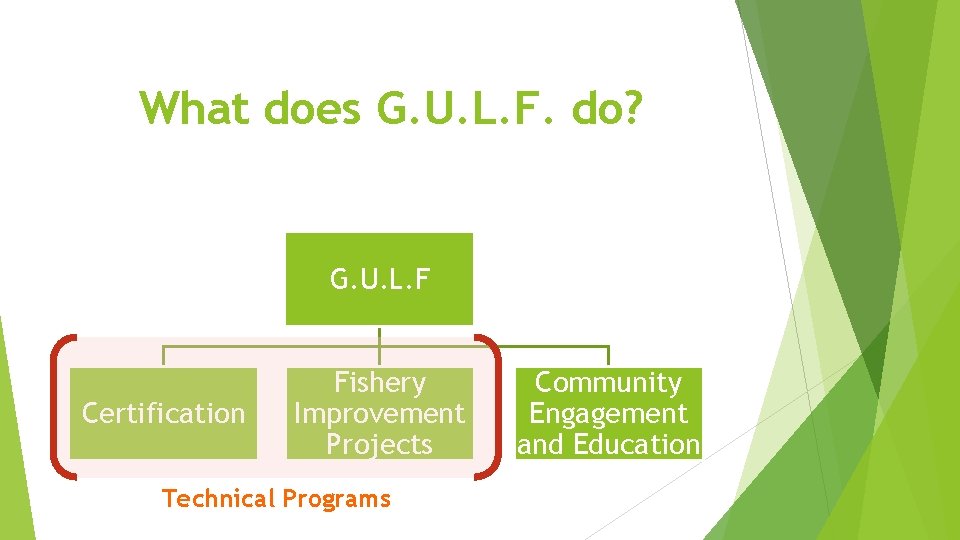 What does G. U. L. F. do? G. U. L. F Certification Fishery Improvement