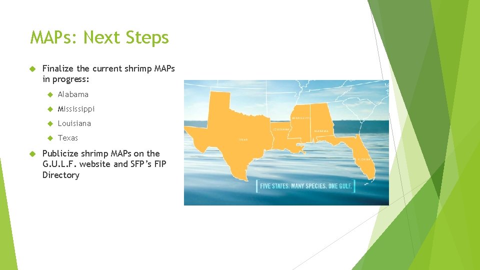 MAPs: Next Steps Finalize the current shrimp MAPs in progress: Alabama Mississippi Louisiana Texas