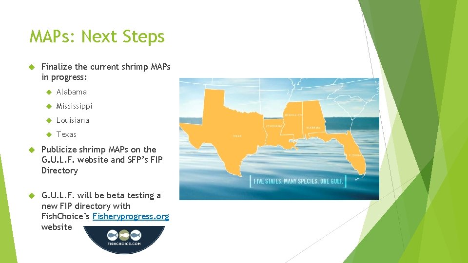 MAPs: Next Steps Finalize the current shrimp MAPs in progress: Alabama Mississippi Louisiana Texas
