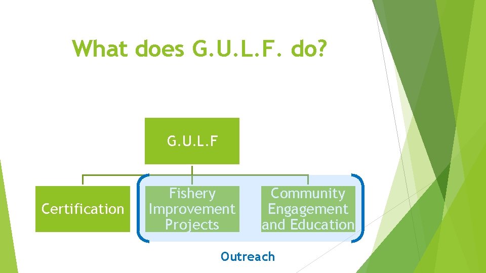 What does G. U. L. F. do? G. U. L. F Certification Fishery Improvement