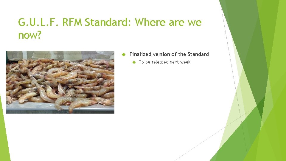 G. U. L. F. RFM Standard: Where are we now? Finalized version of the