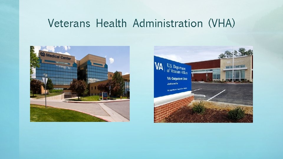 Veterans Health Administration (VHA) 