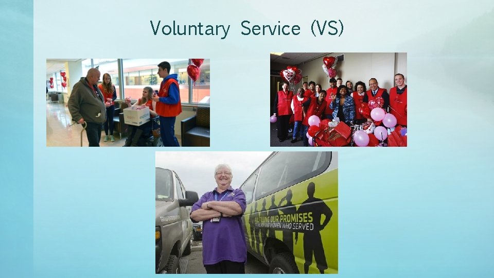 Voluntary Service (VS) 