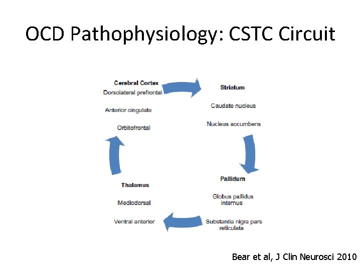 OCD Pathophysiology: CSTC Circuit Bear et al, J Clin Neurosci 2010 