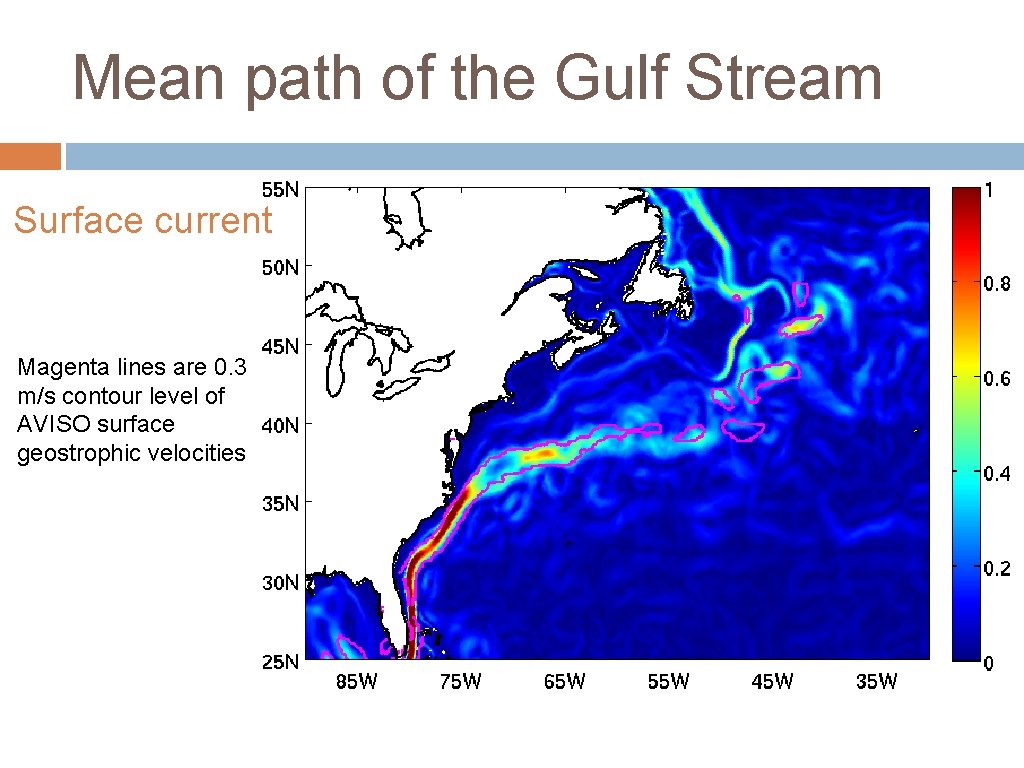Mean path of the Gulf Stream Surface current Magenta lines are 0. 3 m/s