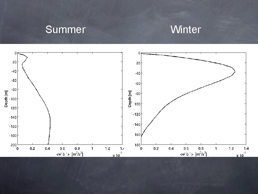 Summer Winter 