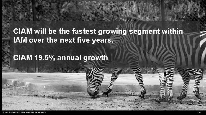 CIAM will be the fastest growing segment within IAM over the next five years.
