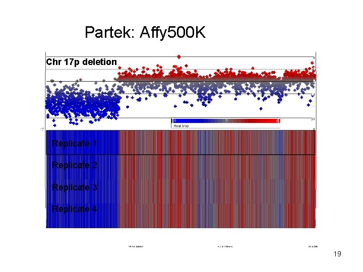 Partek: Affy 500 K Chr 17 p deletion Replicate 1 Replicate 2 Replicate 3