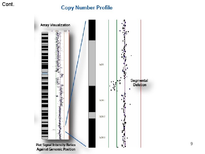 Comparison of Comparative Genomic Hybridization Technologies Across ...