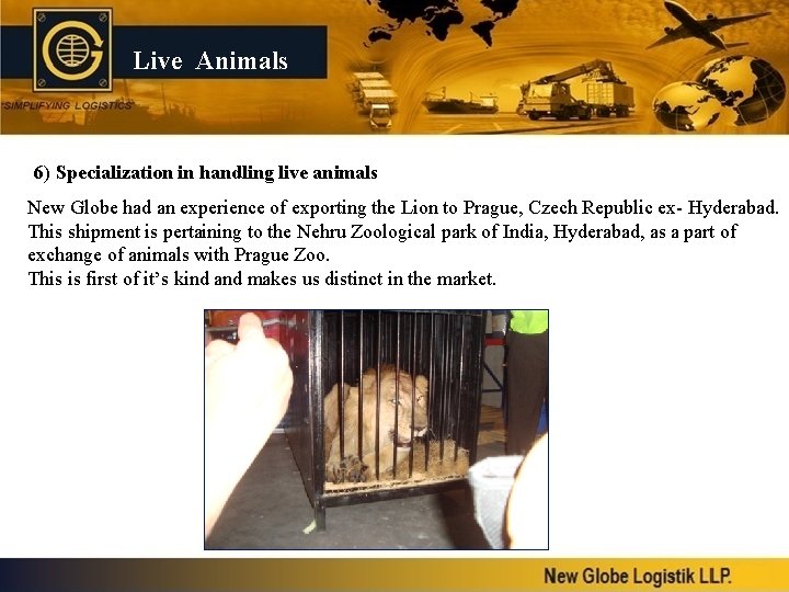 Live Animals 6) Specialization in handling live animals New Globe had an experience of