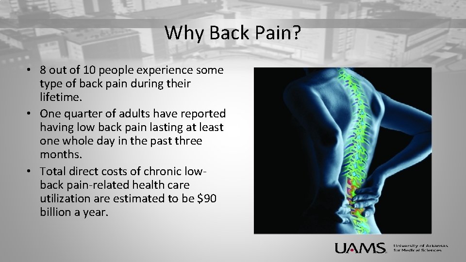 Why Back Pain? • 8 out of 10 people experience some type of back