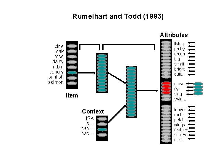 Rumelhart and Todd (1993) Attributes living pretty green big small bright dull… pine oak