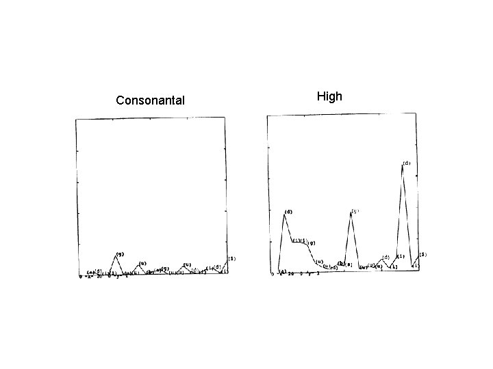 Consonantal High 