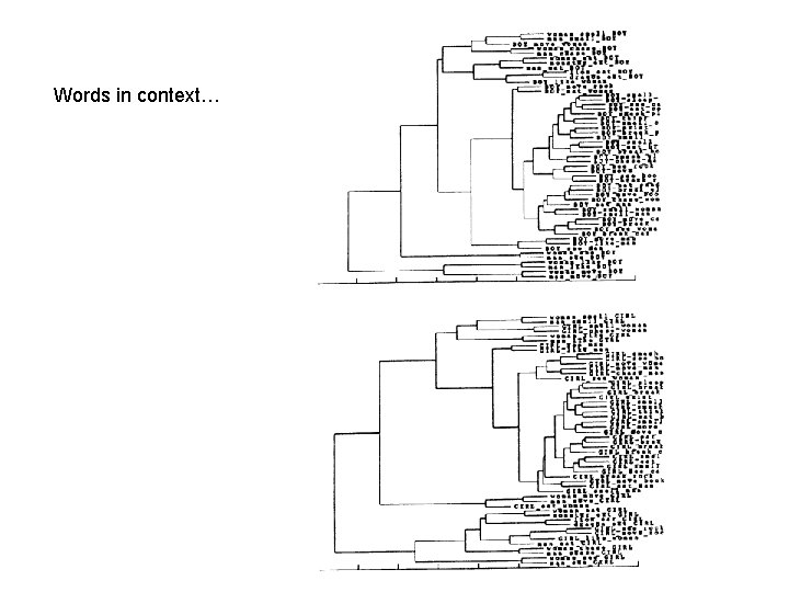Words in context… 