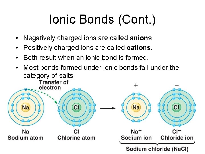 Ionic Bonds (Cont. ) • • Negatively charged ions are called anions. Positively charged Ionic Bonds (Cont. ) • • Negatively charged ions are called anions. Positively charged