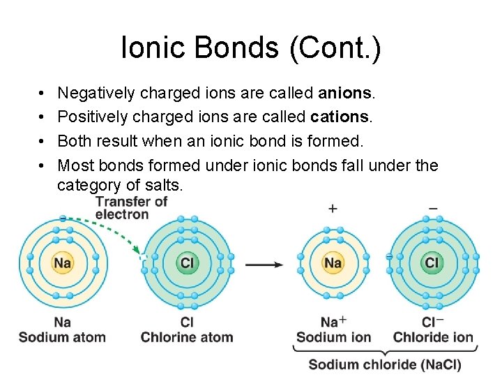 Ionic Bonds (Cont. ) • • Negatively charged ions are called anions. Positively charged