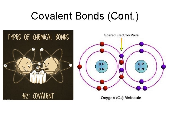 Covalent Bonds (Cont. ) Covalent Bonds (Cont. )
