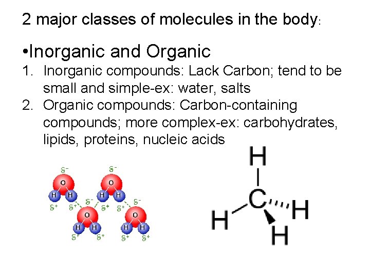 2 major classes of molecules in the body: • Inorganic and Organic 1. Inorganic