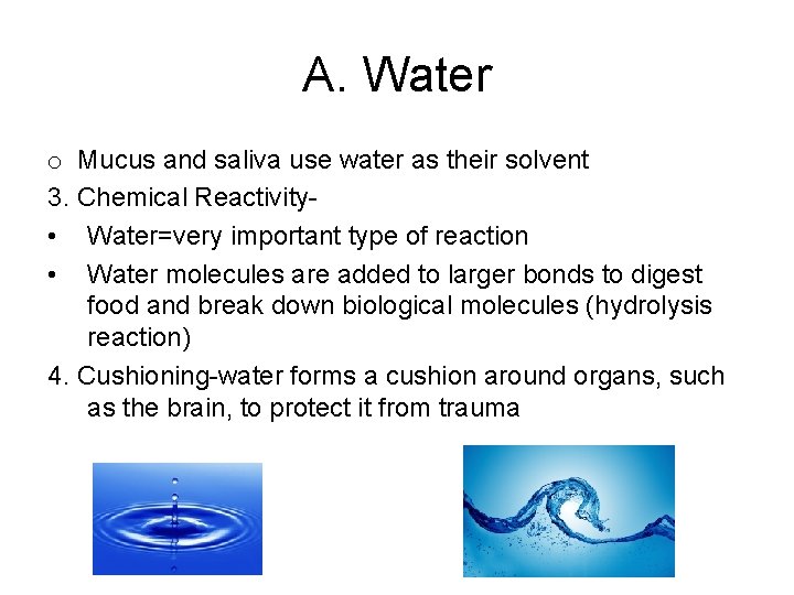 A. Water o Mucus and saliva use water as their solvent 3. Chemical Reactivity A. Water o Mucus and saliva use water as their solvent 3. Chemical Reactivity