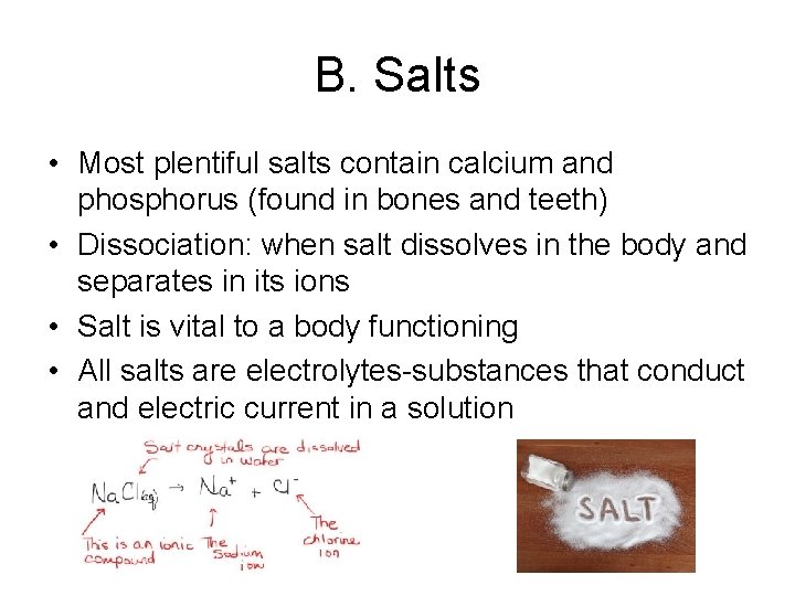 B. Salts • Most plentiful salts contain calcium and phosphorus (found in bones and