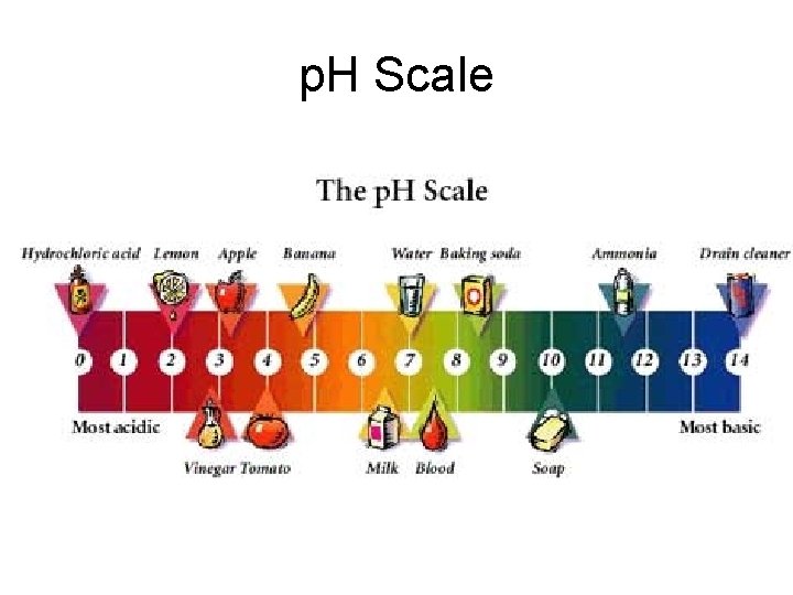 p. H Scale p. H Scale