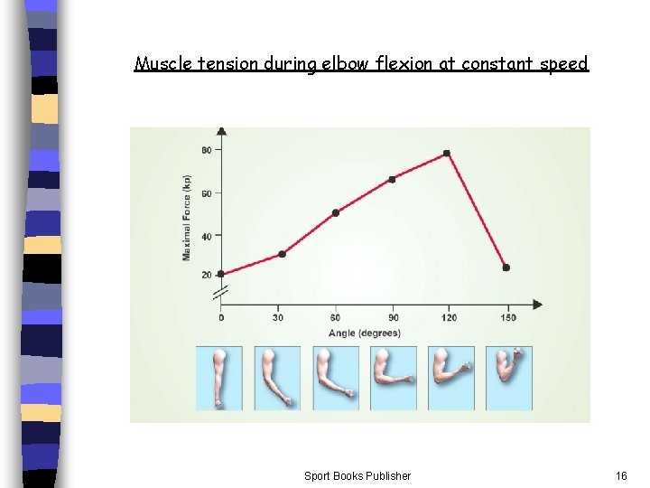 Muscle tension during elbow flexion at constant speed Sport Books Publisher 16 