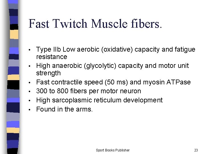 Fast Twitch Muscle fibers. • • • Type IIb Low aerobic (oxidative) capacity and