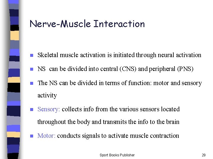 Nerve-Muscle Interaction n Skeletal muscle activation is initiated through neural activation n NS can