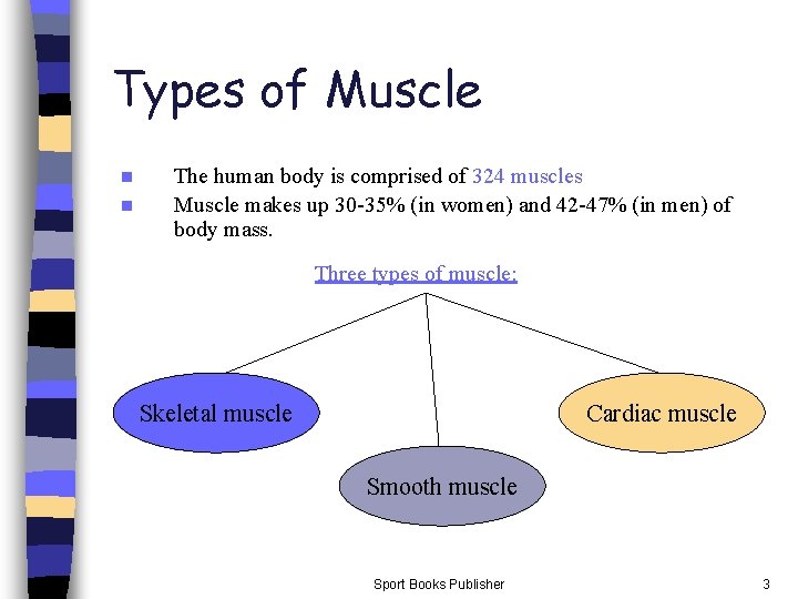 Types of Muscle n n The human body is comprised of 324 muscles Muscle