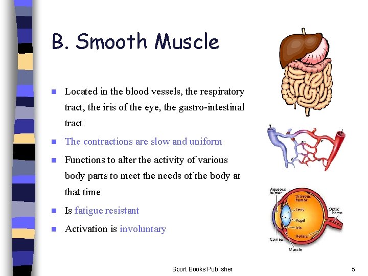 B. Smooth Muscle n Located in the blood vessels, the respiratory tract, the iris