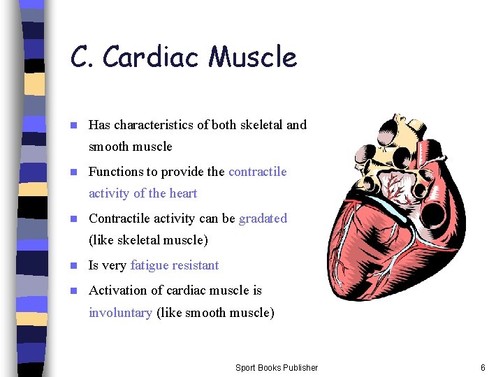 C. Cardiac Muscle n Has characteristics of both skeletal and smooth muscle n Functions