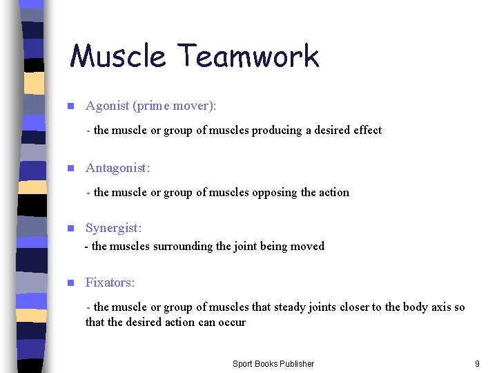 Muscle Teamwork n Agonist (prime mover): - the muscle or group of muscles producing