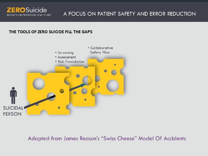 THE TOOLS OF ZERO SUICIDE FILL THE GAPS 