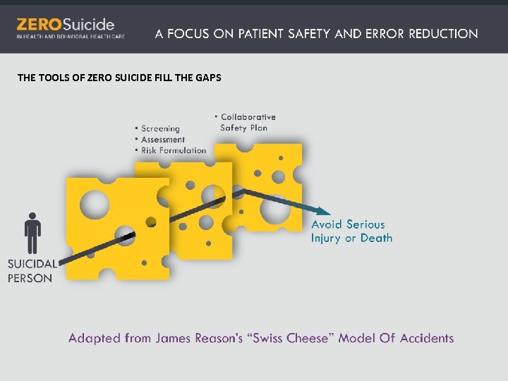 THE TOOLS OF ZERO SUICIDE FILL THE GAPS 
