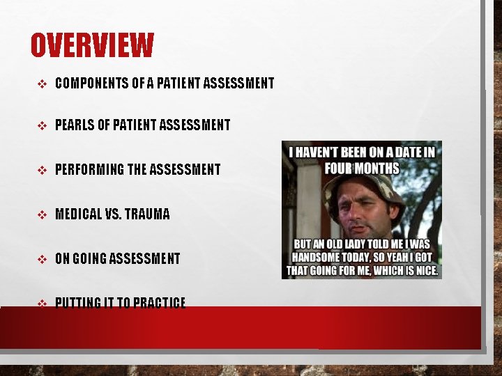 OVERVIEW v COMPONENTS OF A PATIENT ASSESSMENT v PEARLS OF PATIENT ASSESSMENT v PERFORMING