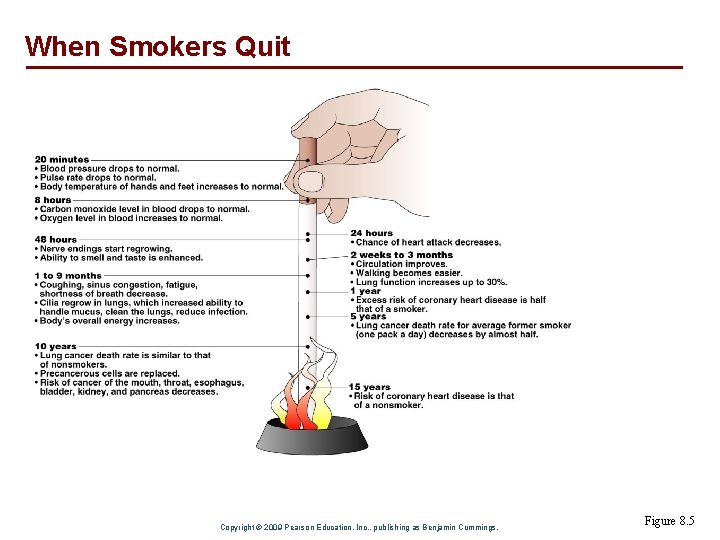 When Smokers Quit Copyright © 2009 Pearson Education, Inc. , publishing as Benjamin Cummings.
