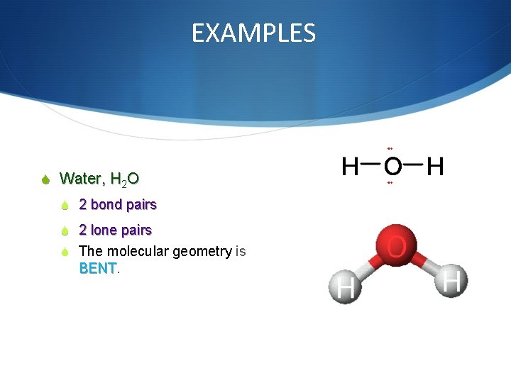 EXAMPLES Water, H 2 O 2 bond pairs 2 lone pairs The molecular geometry