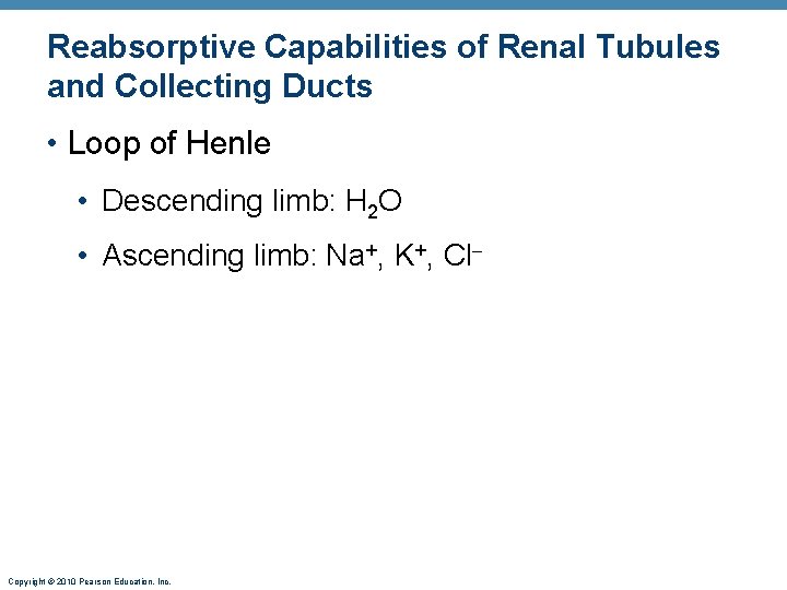 Reabsorptive Capabilities of Renal Tubules and Collecting Ducts • Loop of Henle • Descending