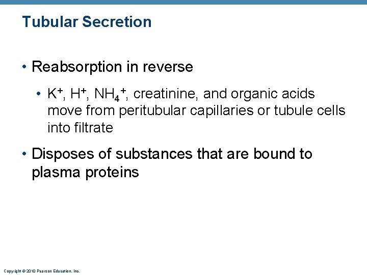 Tubular Secretion • Reabsorption in reverse • K+, H+, NH 4+, creatinine, and organic