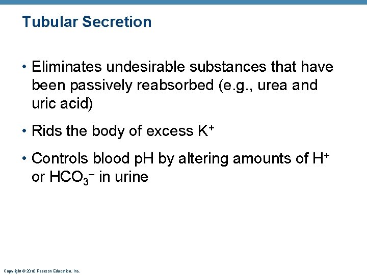 Tubular Secretion • Eliminates undesirable substances that have been passively reabsorbed (e. g. ,