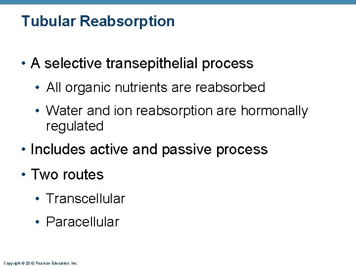 Tubular Reabsorption • A selective transepithelial process • All organic nutrients are reabsorbed •