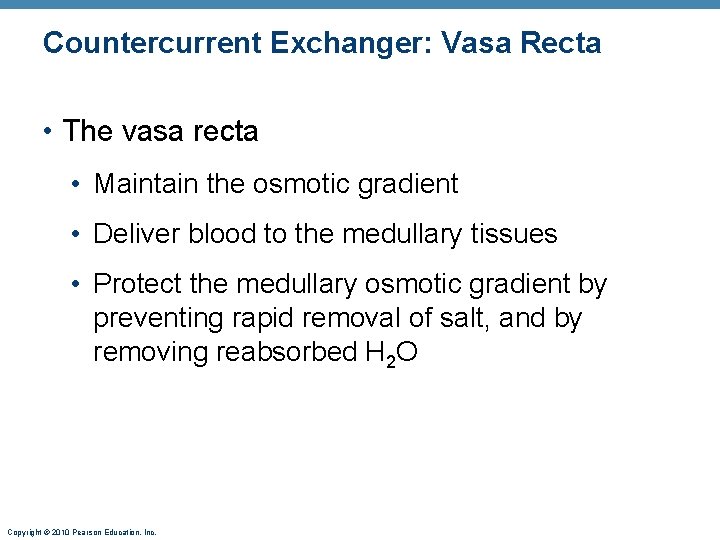 Countercurrent Exchanger: Vasa Recta • The vasa recta • Maintain the osmotic gradient •