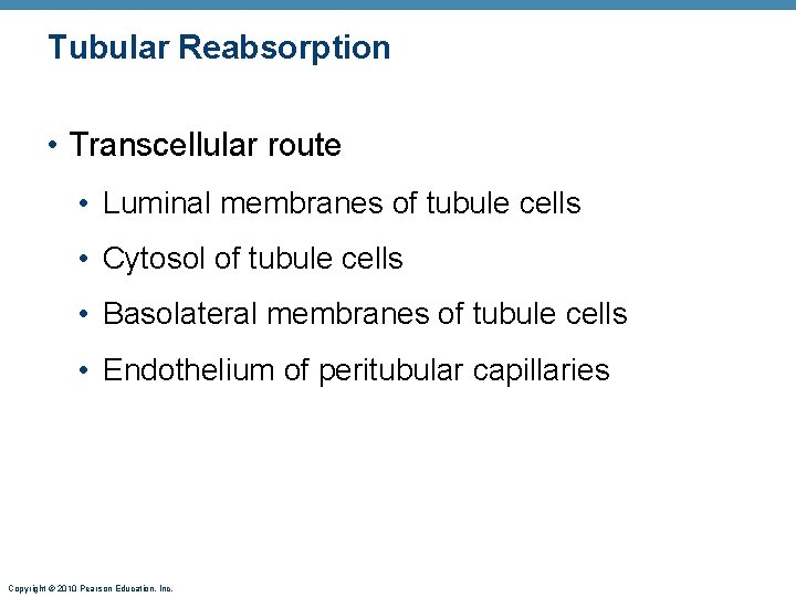 Tubular Reabsorption • Transcellular route • Luminal membranes of tubule cells • Cytosol of