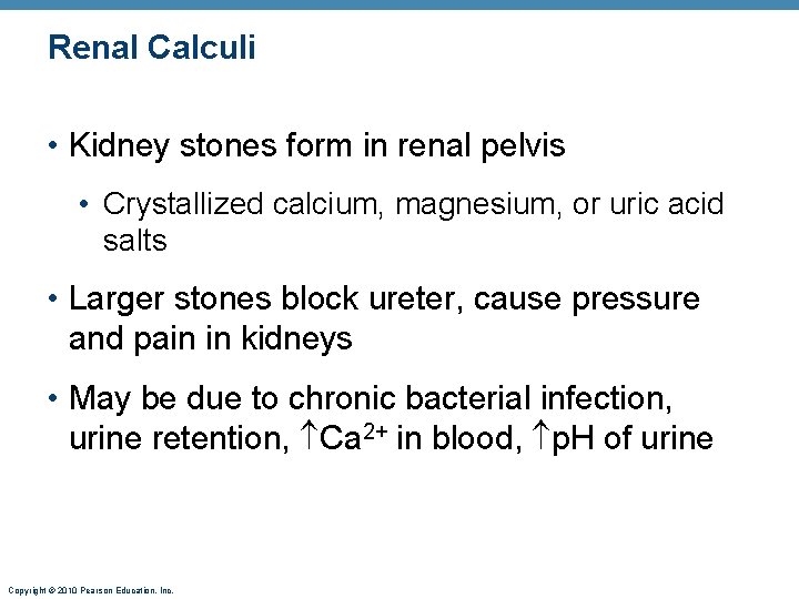 Renal Calculi • Kidney stones form in renal pelvis • Crystallized calcium, magnesium, or