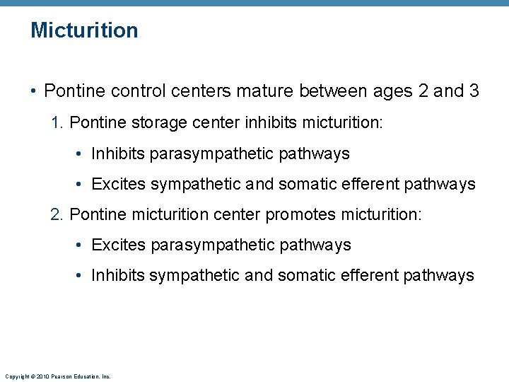 Micturition • Pontine control centers mature between ages 2 and 3 1. Pontine storage