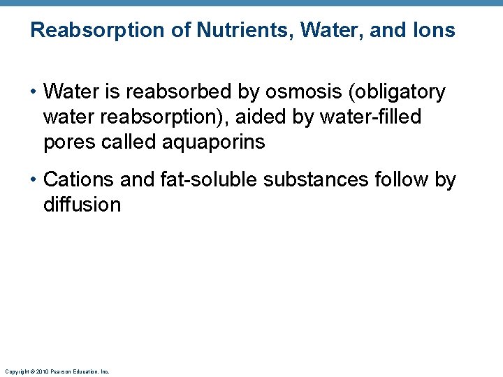 Reabsorption of Nutrients, Water, and Ions • Water is reabsorbed by osmosis (obligatory water