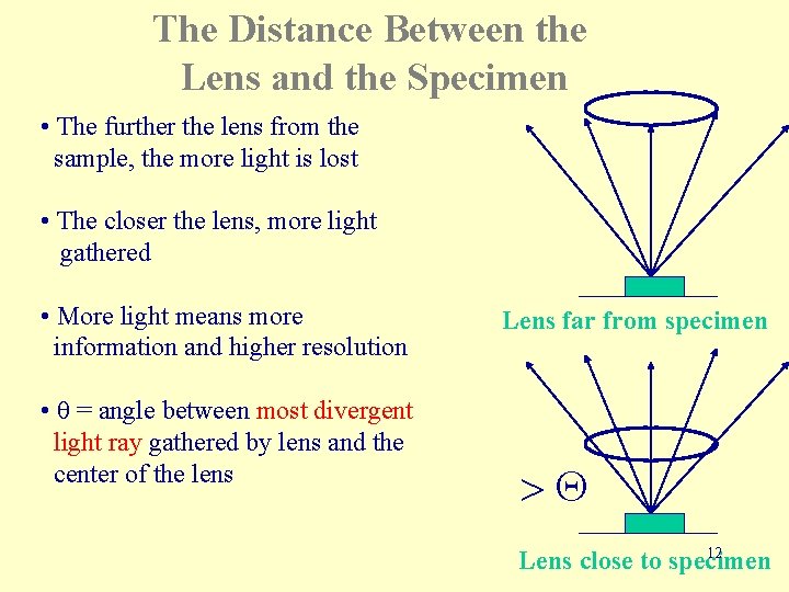 The Distance Between the Lens and the Specimen • The further the lens from