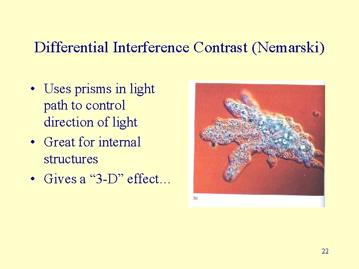 Differential Interference Contrast (Nemarski) • Uses prisms in light path to control direction of