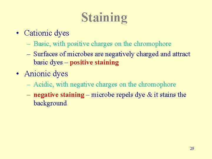 Staining • Cationic dyes – Basic, with positive charges on the chromophore – Surfaces