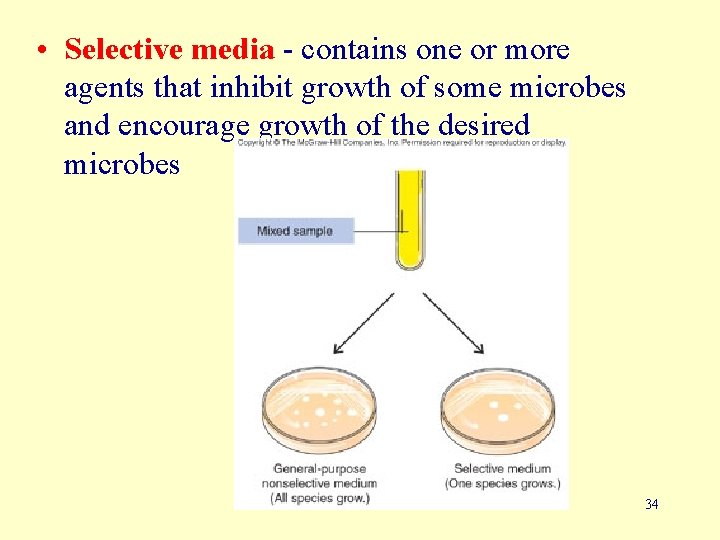  • Selective media - contains one or more agents that inhibit growth of